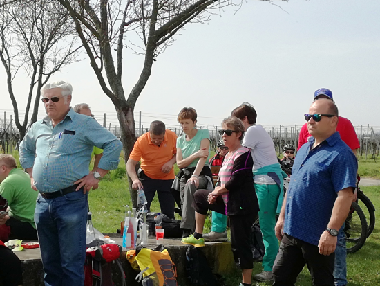 Maikammer Mandelblütenweg April 2018